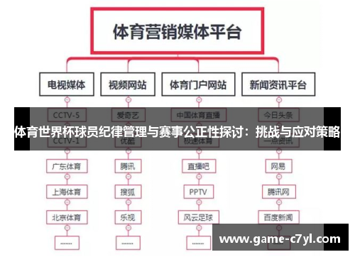 体育世界杯球员纪律管理与赛事公正性探讨：挑战与应对策略