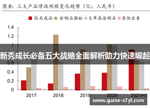 新秀成长必备五大战略全面解析助力快速崛起