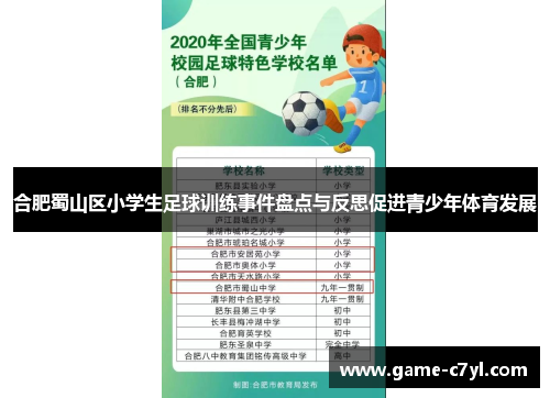 合肥蜀山区小学生足球训练事件盘点与反思促进青少年体育发展