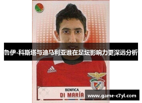 鲁伊-科斯塔与迪马利亚谁在足坛影响力更深远分析