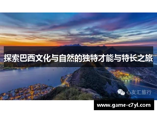 探索巴西文化与自然的独特才能与特长之旅