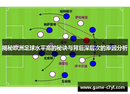 揭秘欧洲足球水平高的秘诀与背后深层次的原因分析
